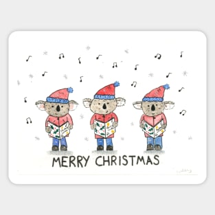 koalas carolling Sticker